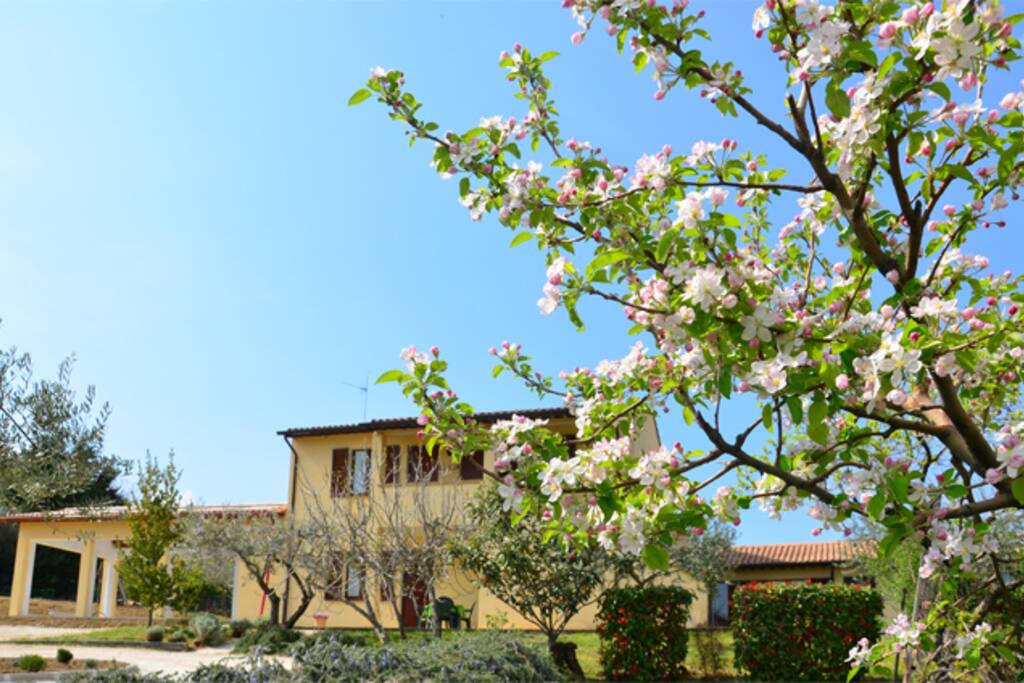 Esterno del casale
The view of the country house