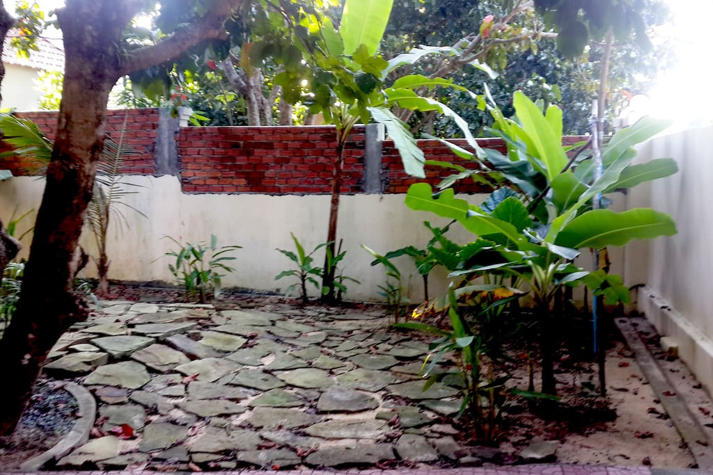 The Garden: banana trees.