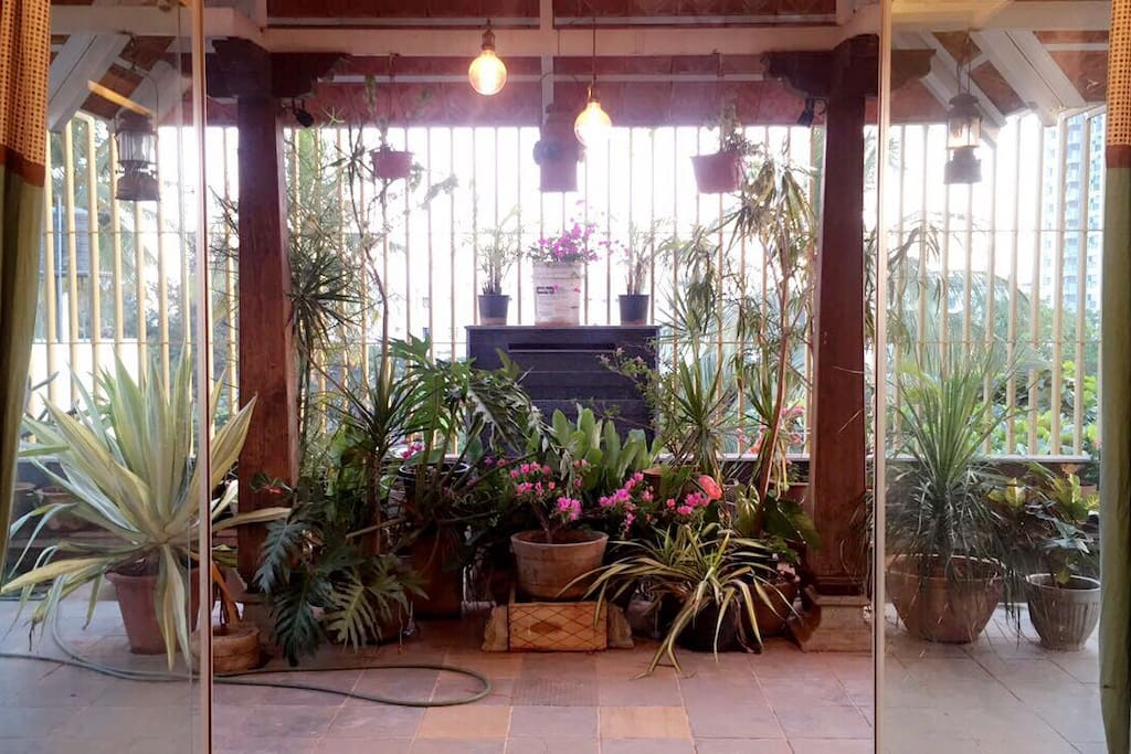 Terrace garden