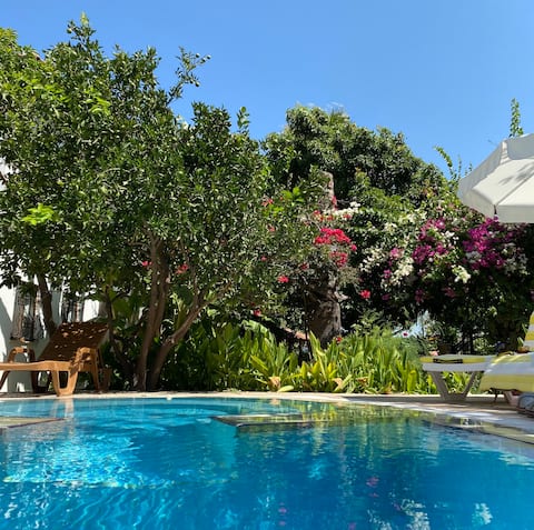 Avocado Suites 2 - Dalyan (Upstairs)
