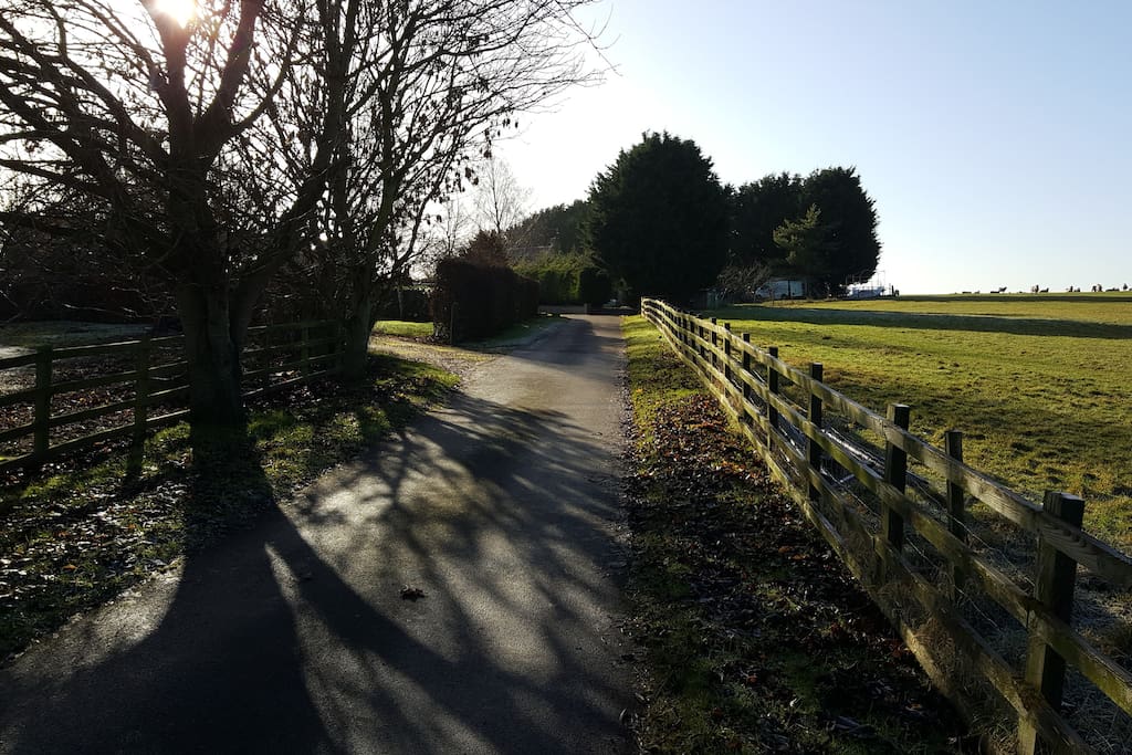 The conifer trees on the right surround the Farmhouse.