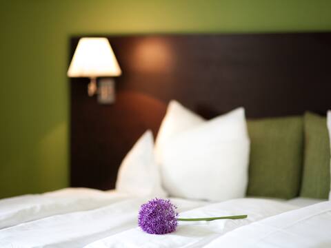 relexa hotel Bad Steben (Bad Steben), basic double room with access to large swimming and wellness a