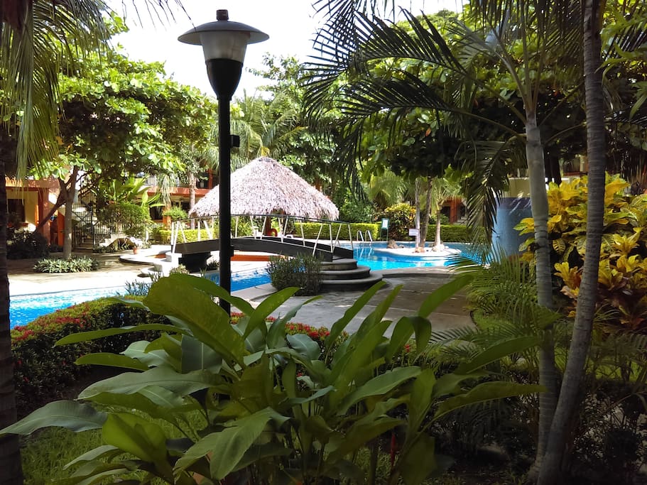 Lush plants and flowers surround the pool and grounds