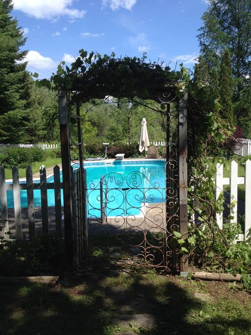 Welcome to the pool