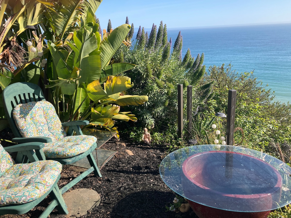 Ocean View Studio, 100’ Cliff Guest suites for Rent in Aptos