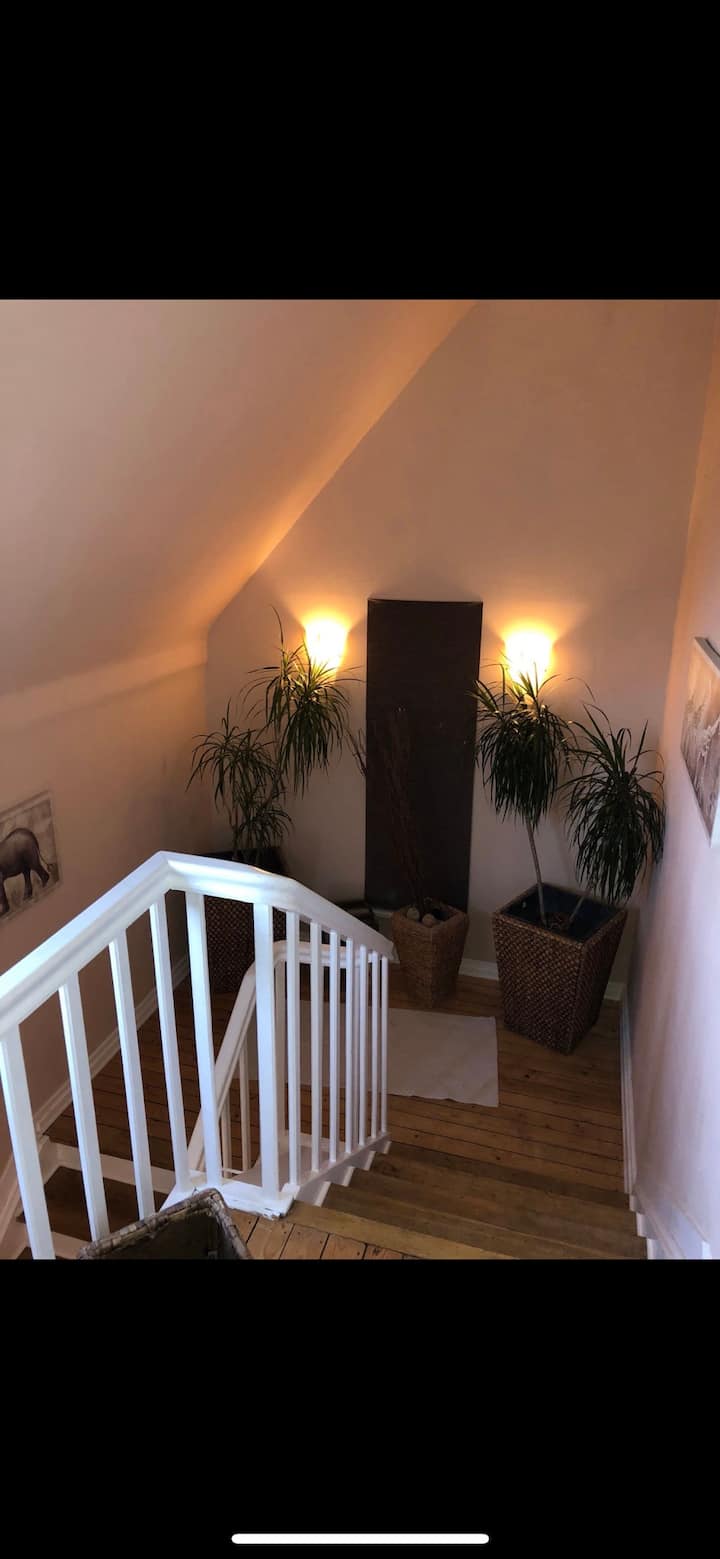 Top Apartement 2 Air Condition BVB, Messe, Park Flats for Rent in