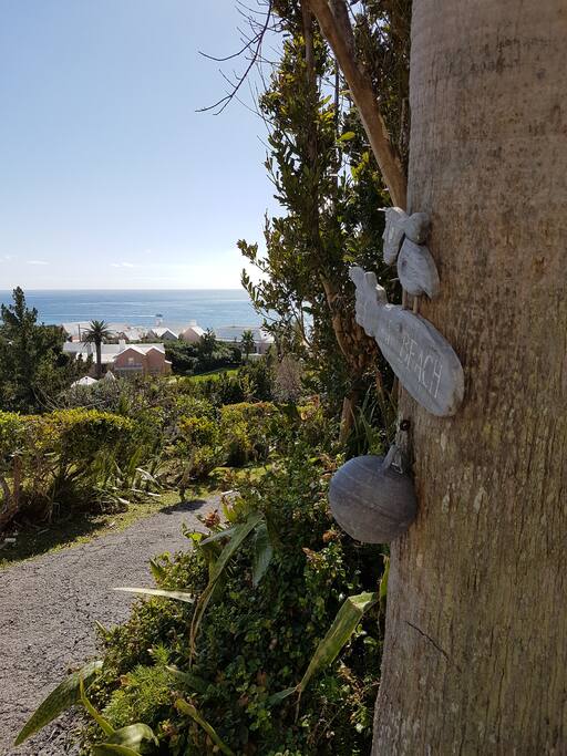 To The Beach!