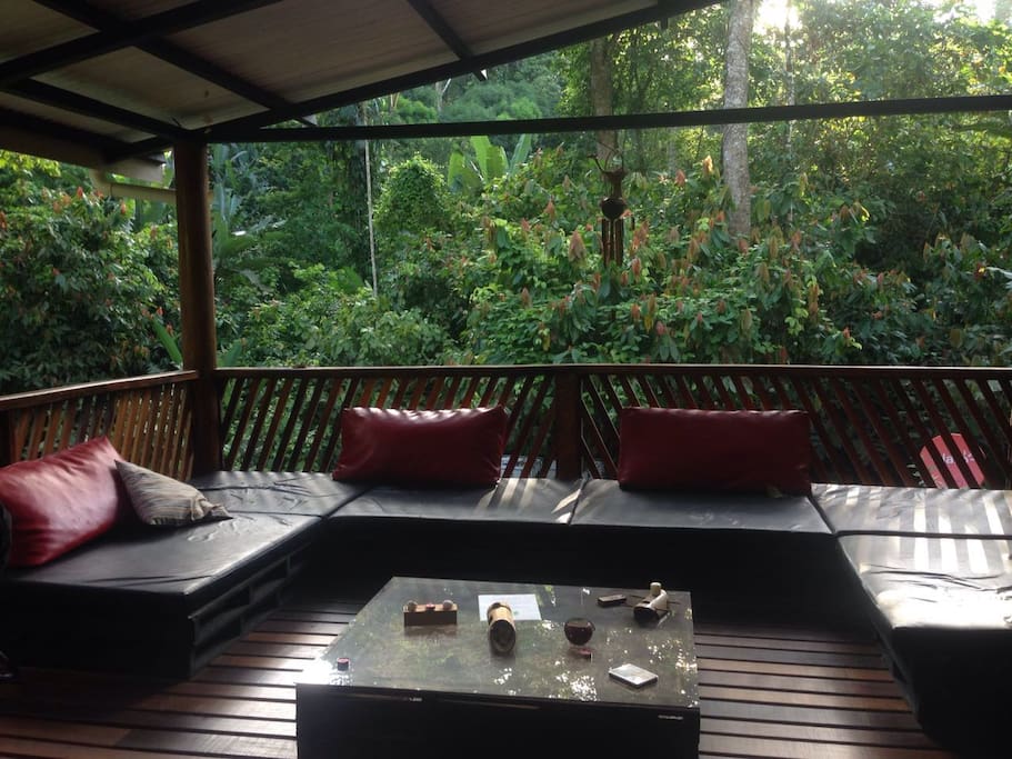 Jungle views terrace