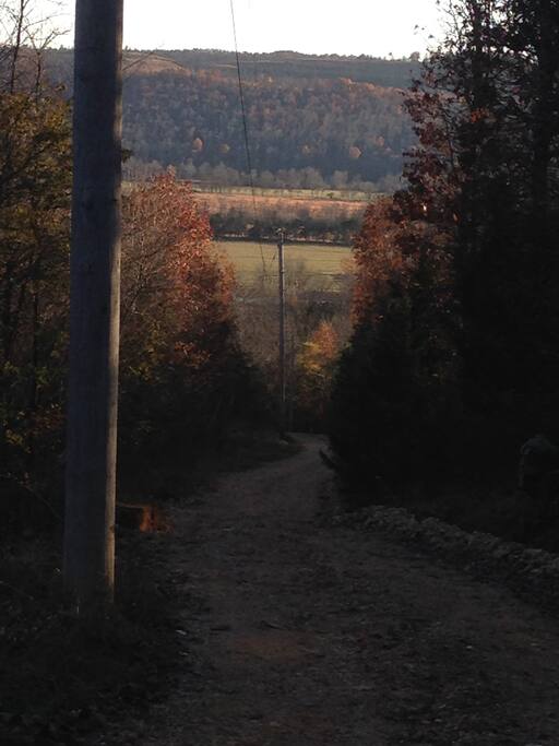 Looking down road that goes up to cabin.