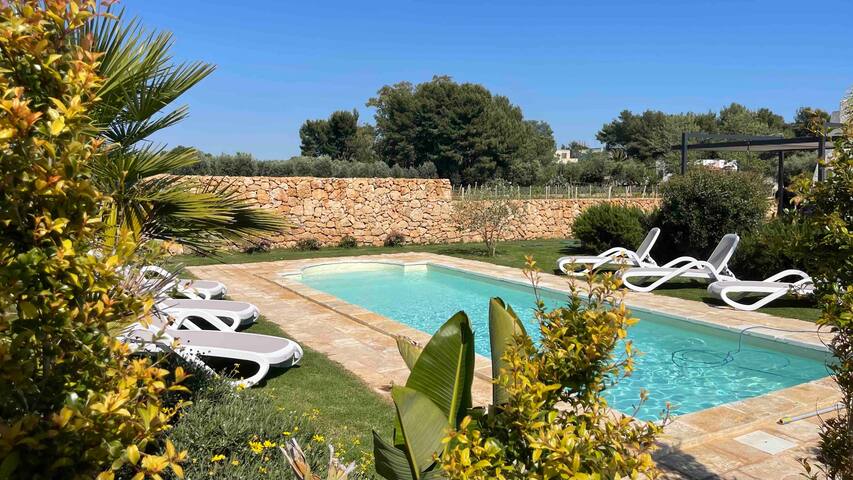 Villa, pool & vineyards, San Pietro in Bevagna