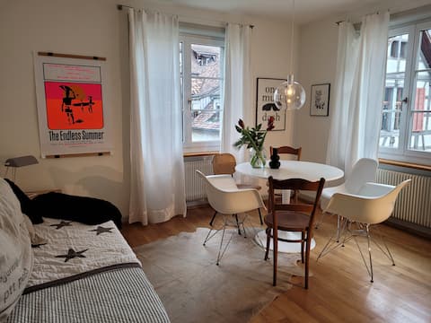 Stylish old town apartment on the banks of Stein am Rhein