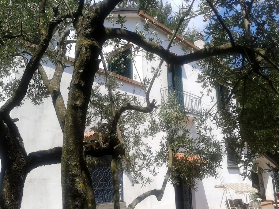 veduta della villa