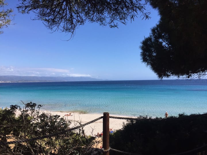 Sardinia Holiday Rentals & Homes Italy Airbnb