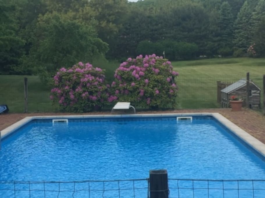 Heated pool
