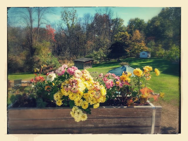 Rhinebeck's Serenity Guest House