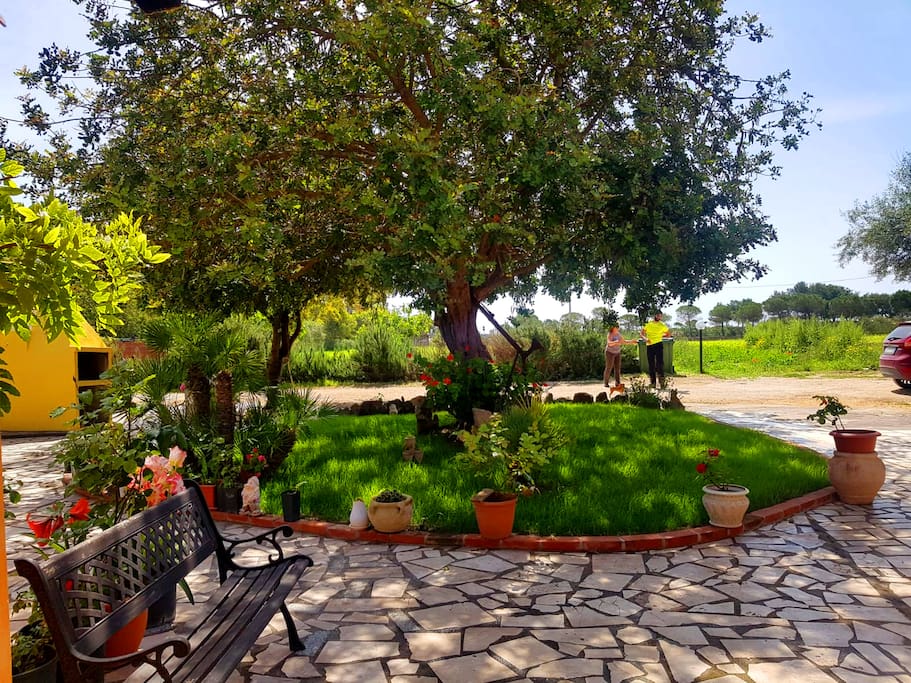 giardino