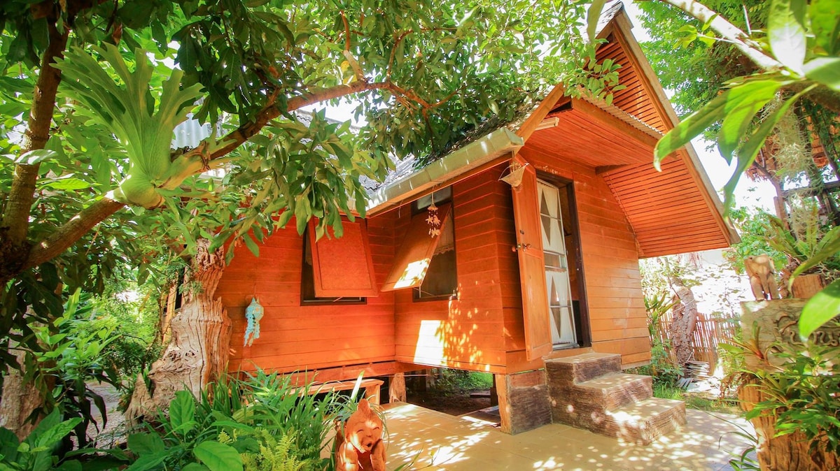 A wooden cabin is situated amid lush greenery, featuring a sloping roof and large windows. The entrance is covered by a sheltered porch, surrounded by tropical plants. Natural light filters through the leaves, creating a serene atmosphere.