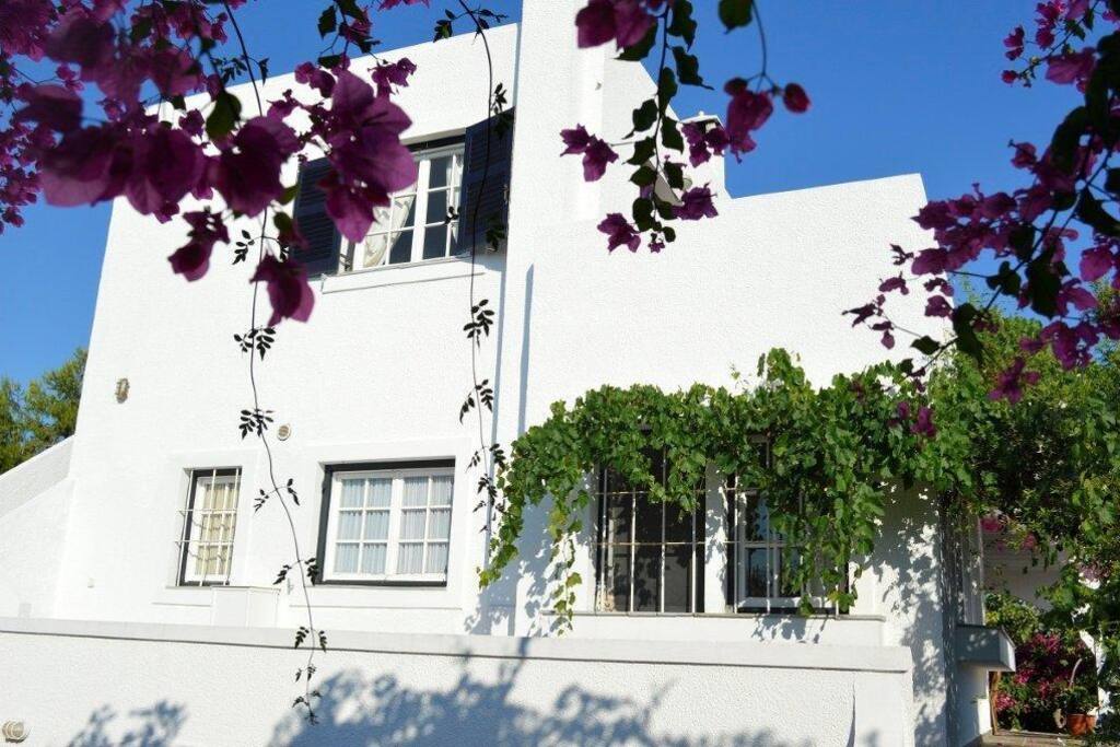 Villa Diamond Light