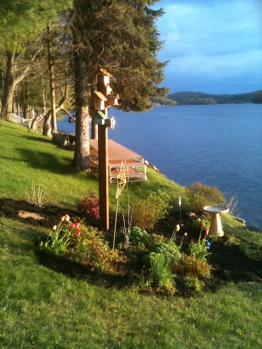 lake view from the patio