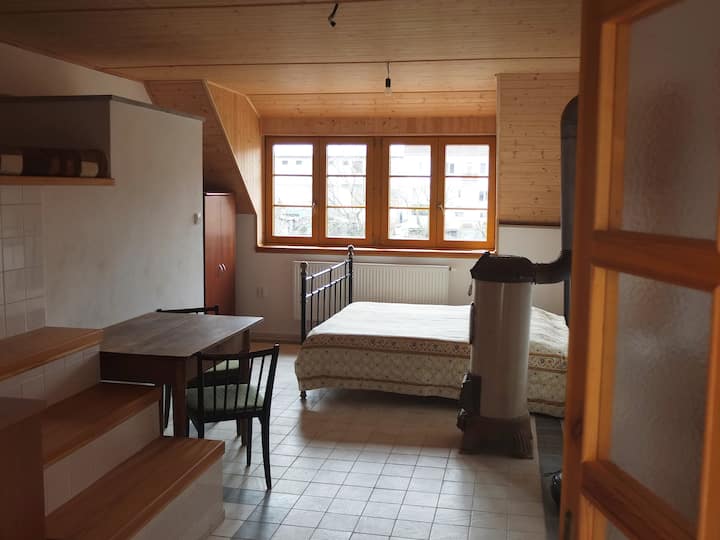 Velké Meziříčí Vacation Rentals & Homes - Vysočina Region, Czechia | Airbnb