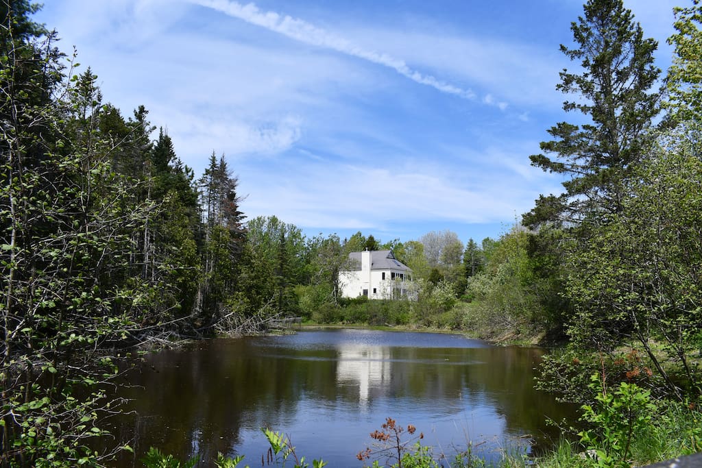 Pond view from the bridge