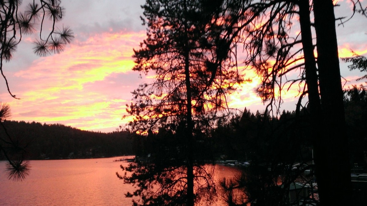 A serene lake view is framed by tall trees, with a vibrant sunset casting shades of pink and orange across the water. The calm surface reflects the colorful sky, creating a peaceful atmosphere.