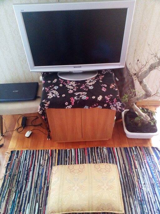 you can watch movies from computer ( there is HDMI cable)