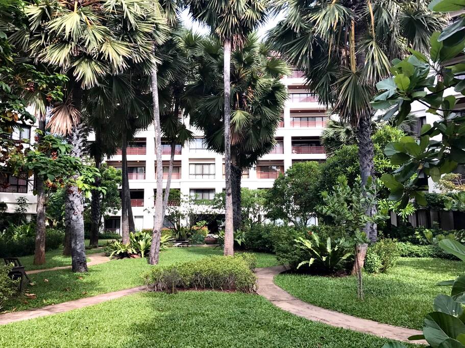 Garden