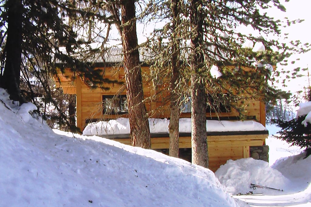 Vue de l'ENTREE du chalet depuis le chemin d'accès