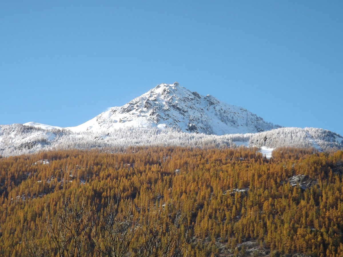 A snow-capped mountain peak rises against a clear blue sky, surrounded by a blanket of vibrant orange and yellow foliage. The lower slopes transition from the colorful trees to the rocky summit, showcasing the natural beauty of the Alps in a serene winter landscape.