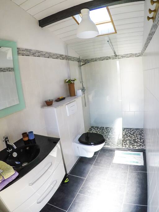 Salle de bain avec douche a l'italienne, vasque et WC