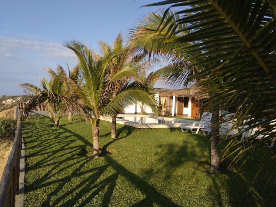 Palmeras en el Jardín