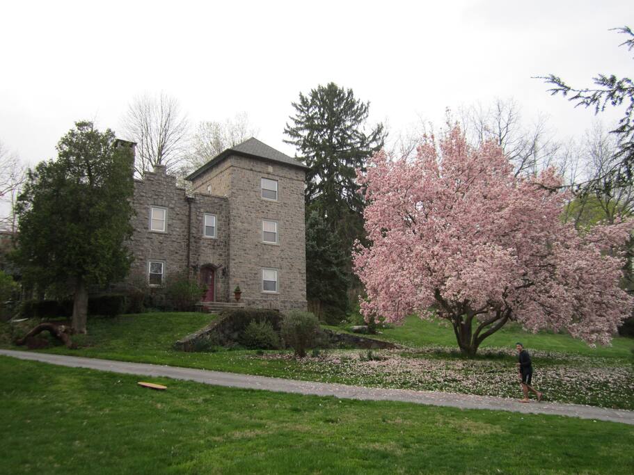 View from the street