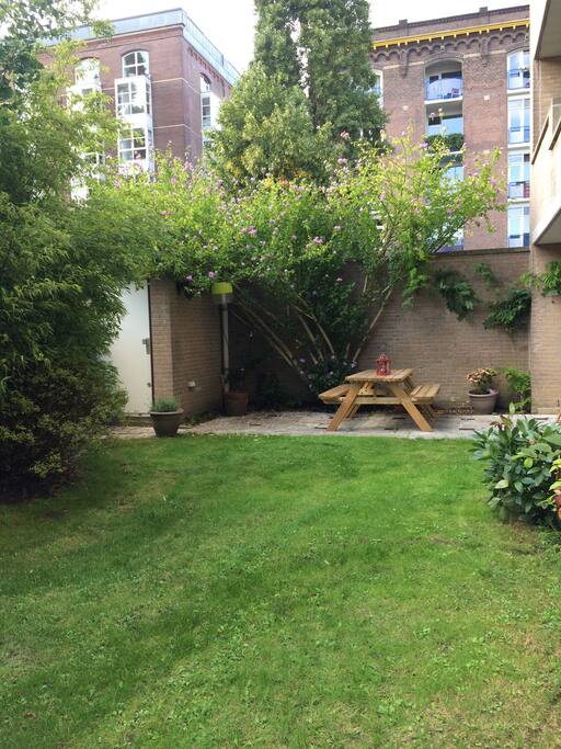 The garden in spring and summer