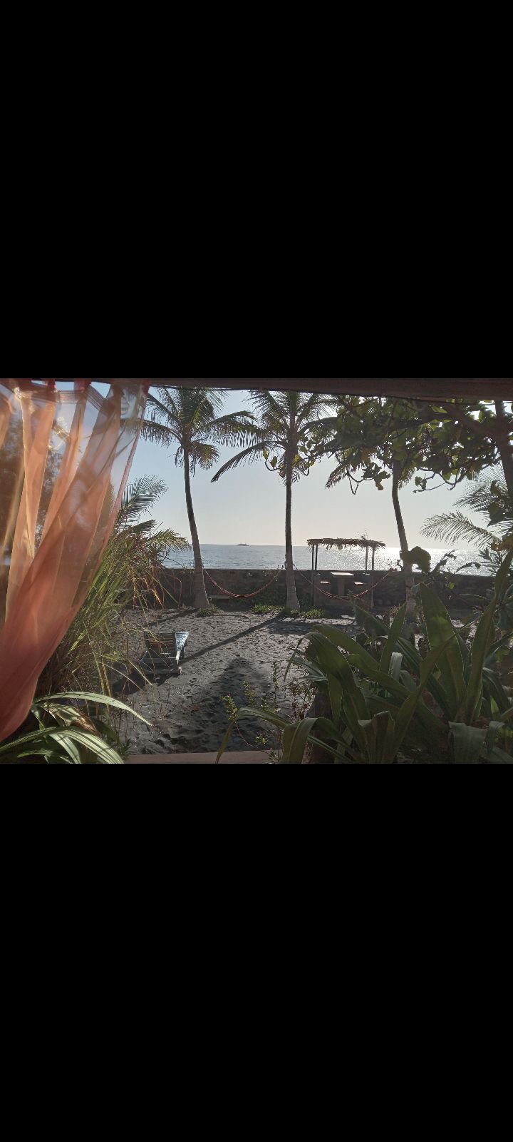 A serene outdoor view features lush greenery, sandy paths, and gently swaying palm trees leading toward the water. A shaded seating area is visible in the distance, with the calm sea inviting relaxation under a clear sky.