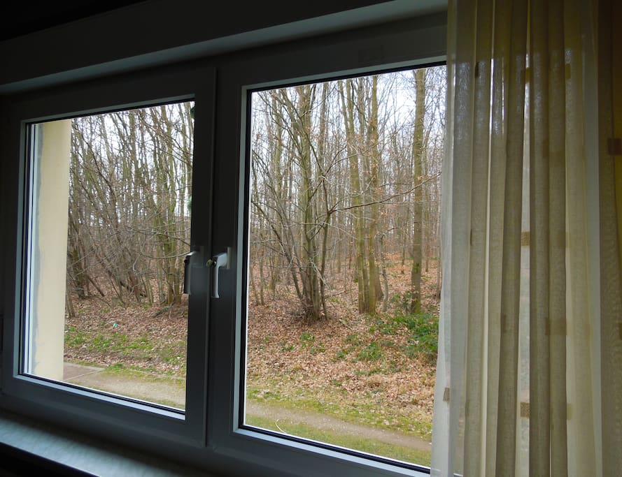 View out of the Living Room window/ Aussicht aus dem Wohnzimmer-fenster