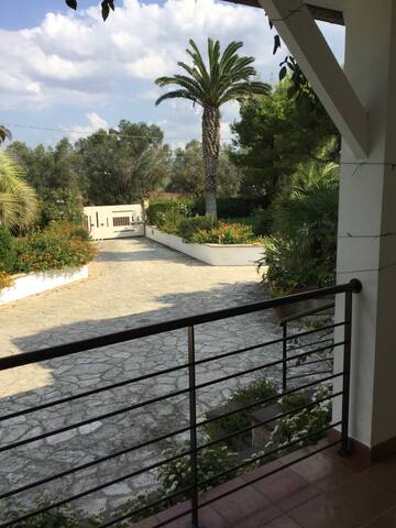 VILLA WITH POOL ARADEO 10 KM FROM GALLIPOLI gallery image 4