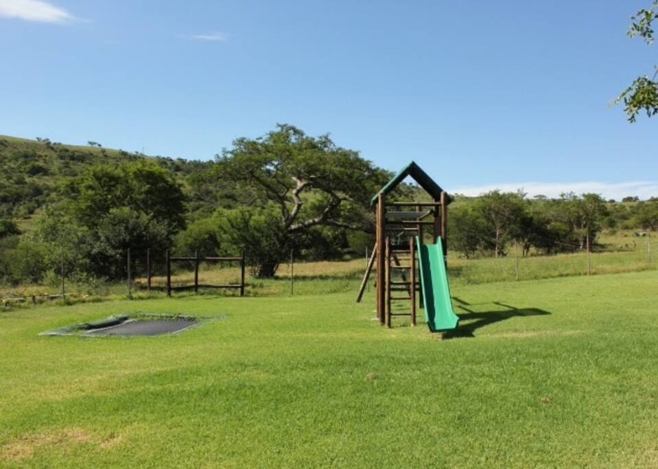 Jungle Gym and Trampoline