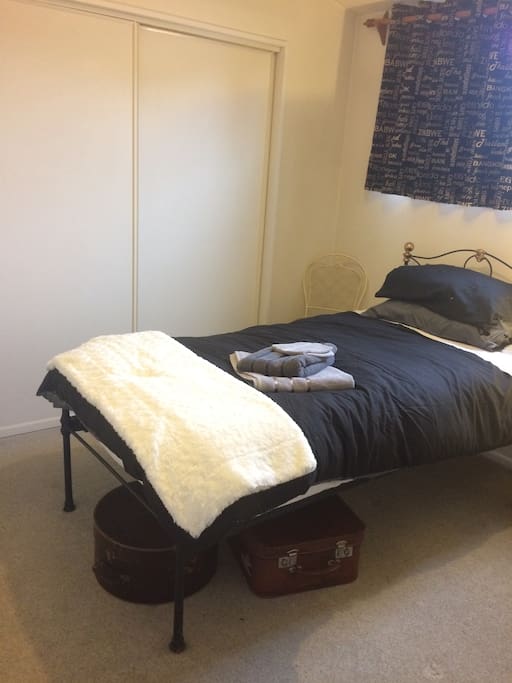 Antique single cast iron bed