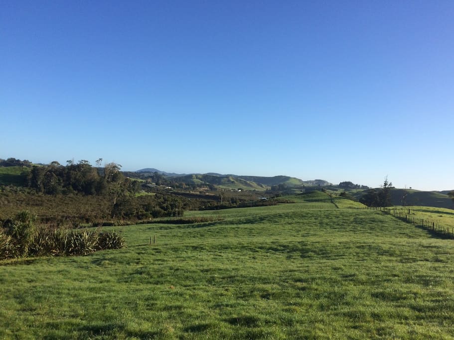 Situated on an operating 18 acre farm surrounded by dairy farms overlooking the Whangarei Harbour