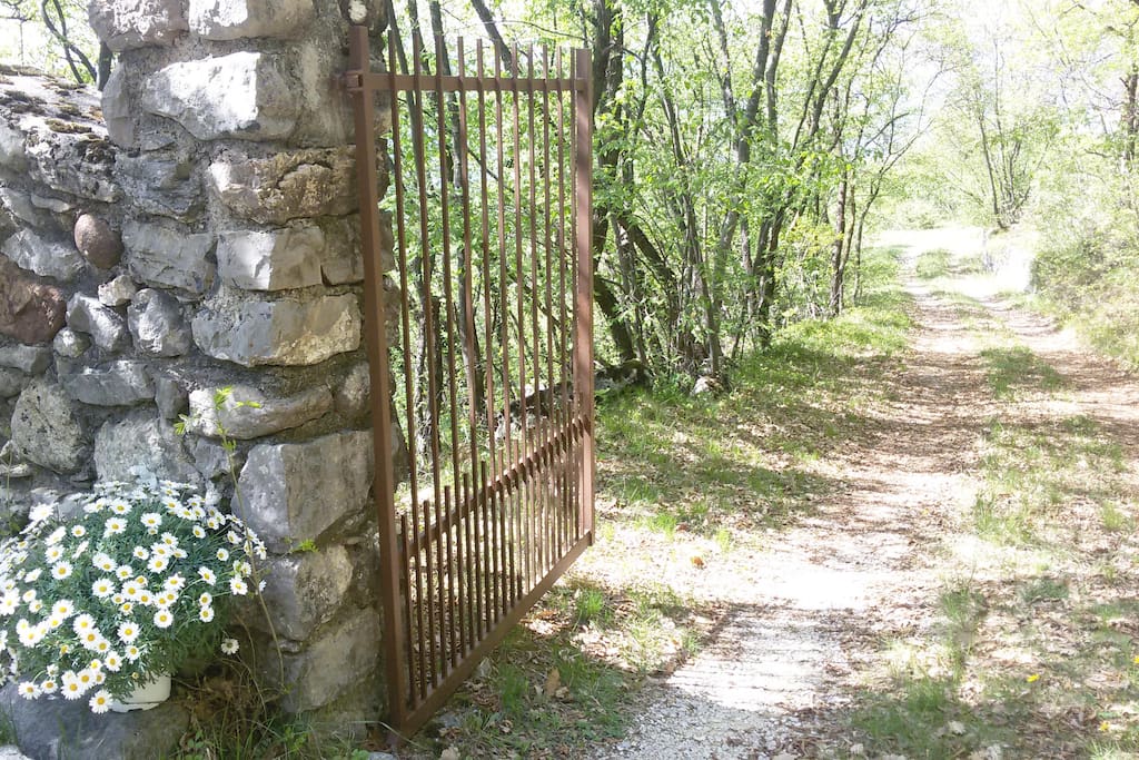Il cancello di accesso con il boschetto antistante la proprietà