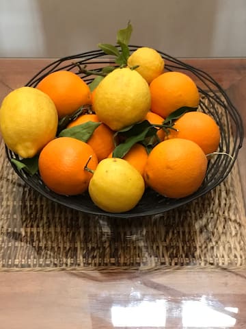 Finca el Patio-Traumfinca Portocristo gallery image 2