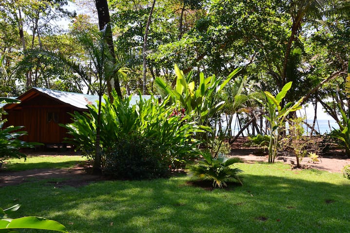 Entire home with 2 bedrooms in Puntarenas Province - Beach House at Pieza Paraiso