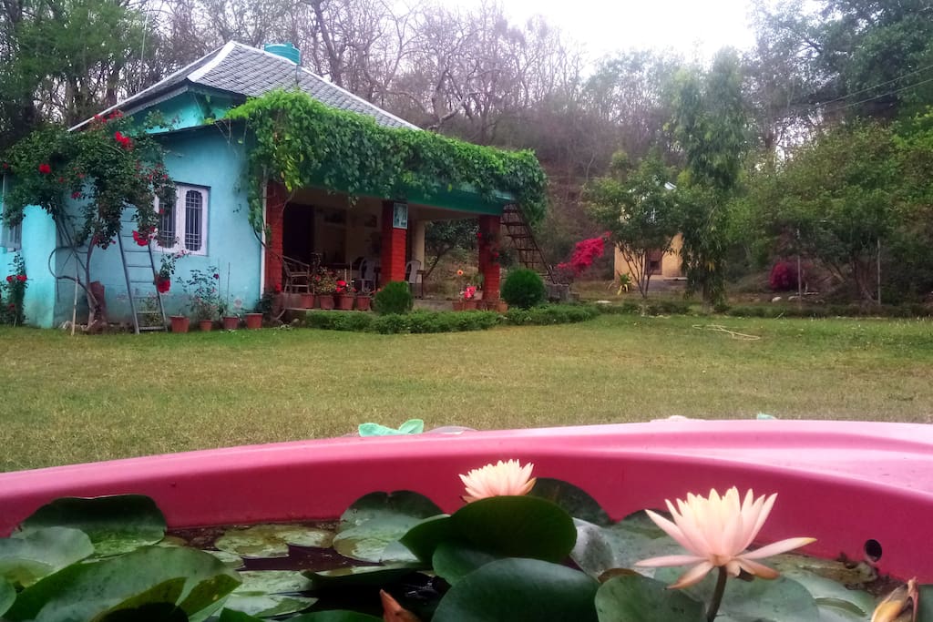 Outer view of cottage