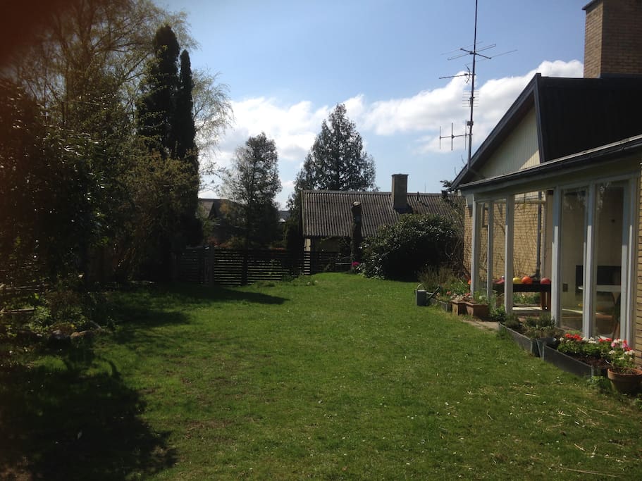 The backyard