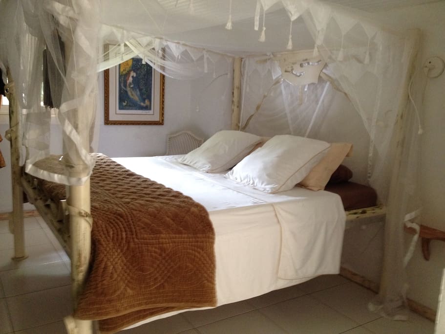 Chambre 1 ( lit Queen size )