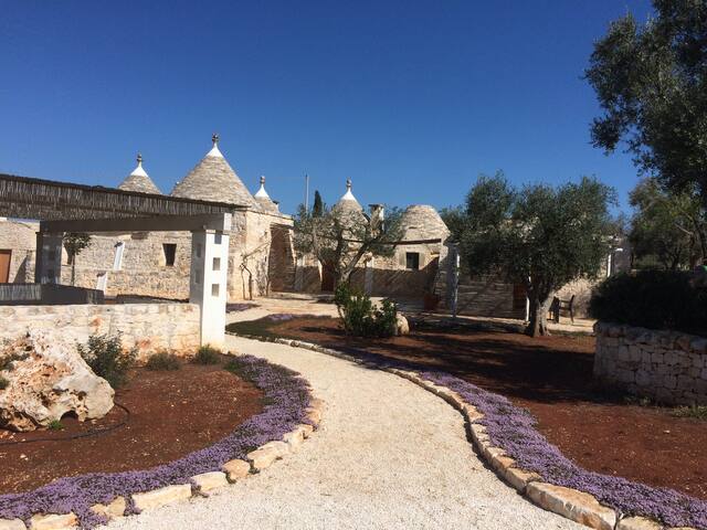 Trulli damare a Ceglie Messapica, con piscina gallery image 3