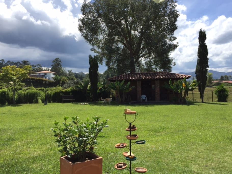 Nature Homes To Rent In Medellin Nature Homes To Rent In Medellin