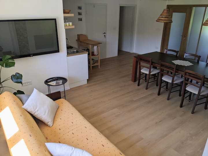 Dhomë ndenjjeje me TV dhe oxhak