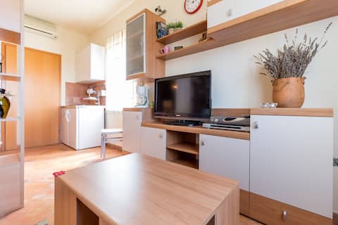 Top performing Airbnb: Cozy studio for 2 near the beach in Peroj
